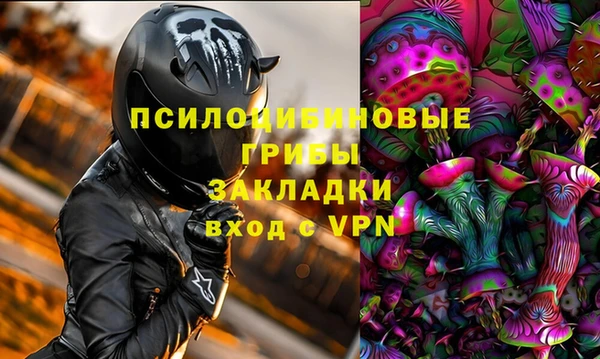 мяу мяу мука Алексеевка