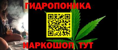 не бодяженный Гатчина