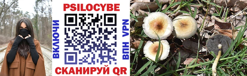 Галлюциногенные грибы Psilocybine cubensis  Нижнеудинск 